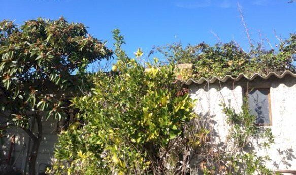 16SANBENEDETTODELTRONTOCASAINCAMPAGNAVISTAMAREjpg - Casale San Benedetto del Tronto - foto 3