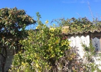 16SANBENEDETTODELTRONTOCASAINCAMPAGNAVISTAMAREjpg - Casale San Benedetto del Tronto - foto 3