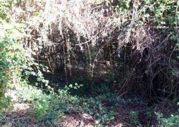 17SANBENEDETTODELTRONTOCASAINCAMPAGNAVISTAMAREjpg - Casale San Benedetto del Tronto - foto 12