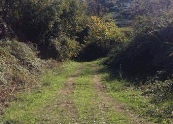 14SANBENEDETTODELTRONTOCASAINCAMPAGNAVISTAMAREjpg - Casale San Benedetto del Tronto - foto 13