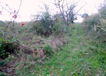 18SANBENEDETTODELTRONTOCASAINCAMPAGNAVISTAMAREjpg - Casale San Benedetto del Tronto - foto 14