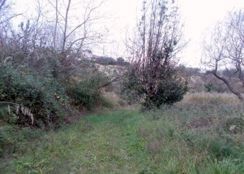 19SANBENEDETTODELTRONTOCASAINCAMPAGNAVISTAMAREjpg - Casale San Benedetto del Tronto - foto 15