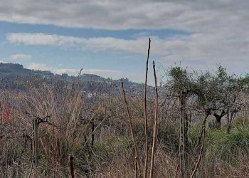 02 SAN BENEDETTO DEL TRONTO - CASA IN CAMPAGNA VIS - Casale San Benedetto del Tronto - foto 20