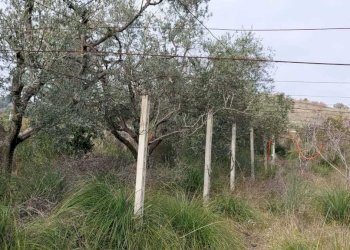 04 SAN BENEDETTO DEL TRONTO - CASA IN CAMPAGNA VIS - Casale San Benedetto del Tronto - foto 21