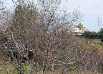 06 SAN BENEDETTO DEL TRONTO - CASA IN CAMPAGNA VIS - Casale San Benedetto del Tronto - foto 22