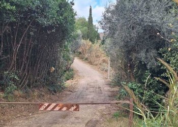 SAN BENEDETTO DEL TRONTO - CASA IN CAMPAGNA .jpeg - Casale San Benedetto del Tronto - foto 23