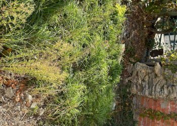 WhatsApp Image 2025-10-06 at 17.19.57 (12).jpeg - Casa indipendente Via Serro Antico, Avegno - foto 9