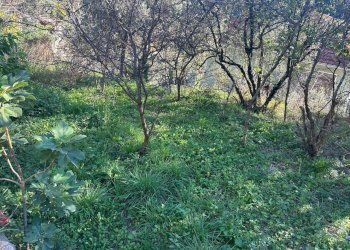 WhatsApp Image 2025-10-06 at 17.19.57 (3).jpeg - Casa indipendente Via Serro Antico, Avegno - foto 18