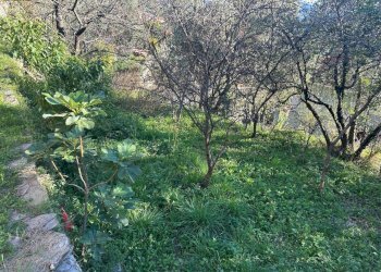 WhatsApp Image 2025-10-06 at 17.19.57 (1).jpeg - Casa indipendente Via Serro Antico, Avegno - foto 20