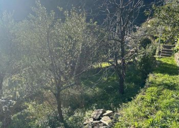 WhatsApp Image 2025-10-06 at 17.19.53 (3).jpeg - Casa indipendente Via Serro Antico, Avegno - foto 22