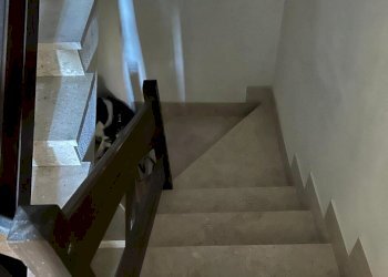 WhatsApp Image 2025-10-20 at 18.41.16 (2).jpeg - Casa indipendente Via Maestra 1, Carrodano - foto 28