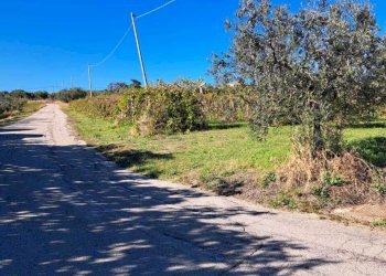 IMG-20251017-WA0160.jpg - Casale via colle della fonte  94, Frisa - foto 4