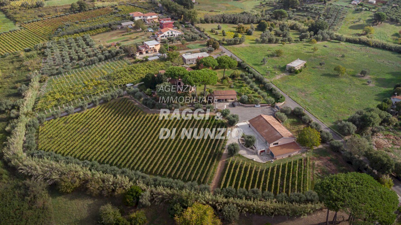 WEB_001.jpg - Casa indipendente Via Passo della Corte, Lanuvio - foto 1