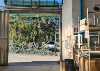 20251028_102140.jpg - Capannone Reggio nell'Emilia - foto 5