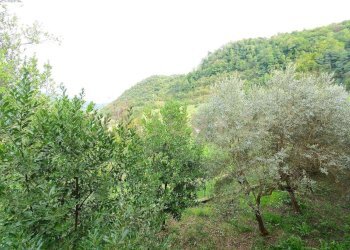 vista est - Casale Via di Vecoli 11, Lucca - foto 4