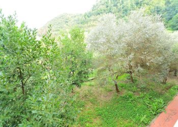 vista est - Casale Via di Vecoli 11, Lucca - foto 6