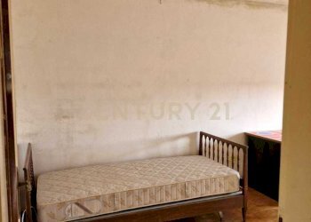 20250930_151005.jpg - Villa via cavetto di mezzo 20, Castelnovo Bariano - foto 13