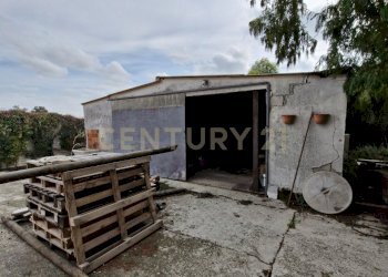 20250930_151625.jpg - Villa via cavetto di mezzo 20, Castelnovo Bariano - foto 23