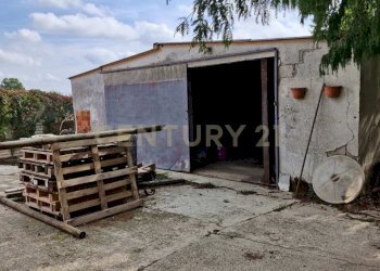 20250930_145642.jpg - Villa via cavetto di mezzo 20, Castelnovo Bariano - foto 24