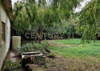 20250930_151648.jpg - Villa via cavetto di mezzo 20, Castelnovo Bariano - foto 26