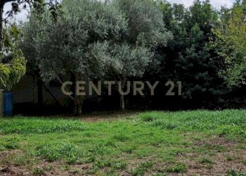 20250930_145621.jpg - Villa via cavetto di mezzo 20, Castelnovo Bariano - foto 27