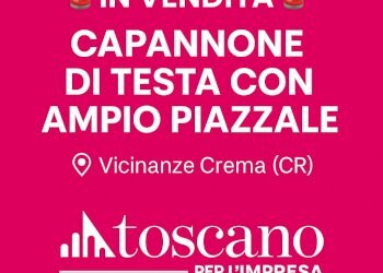 ChatGPT Image 18 nov 2025, 16_18_43.png - Capannone Via Guido Rossa 32, Pandino - foto 12