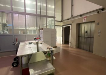 IMG_0933.jpeg - Capannone Via Guido Rossa 32, Pandino - foto 3