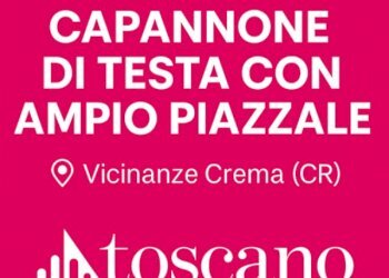 ChatGPT Image 18 nov 2025, 16_18_43.png - Capannone Via Guido Rossa 32, Pandino - foto 1