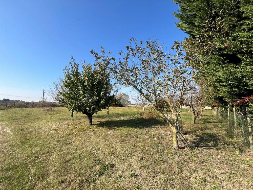 Agricultural land Via Chiesa, Ravenna (neighborhood San Marco) - photo 1