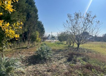 Terreno agricolo Via Chiesa, Ravenna (zona San Marco) - foto 2