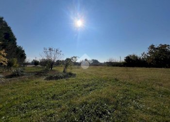 Terreno agricolo Via Chiesa, Ravenna (zona San Marco) - foto 5