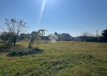 Terreno agricolo Via Chiesa, Ravenna (zona San Marco) - foto 7