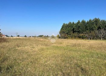 Terreno agricolo Via Chiesa, Ravenna (zona San Marco) - foto 8