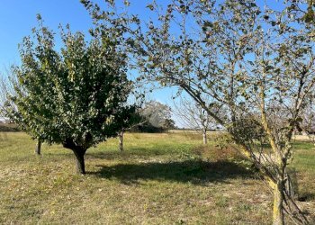 Terreno agricolo Via Chiesa, Ravenna (zona San Marco) - foto 9