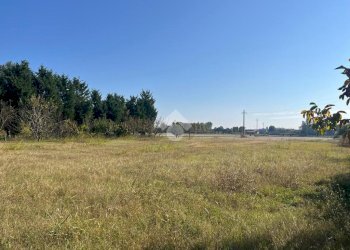 Terreno agricolo Via Chiesa, Ravenna (zona San Marco) - foto 13
