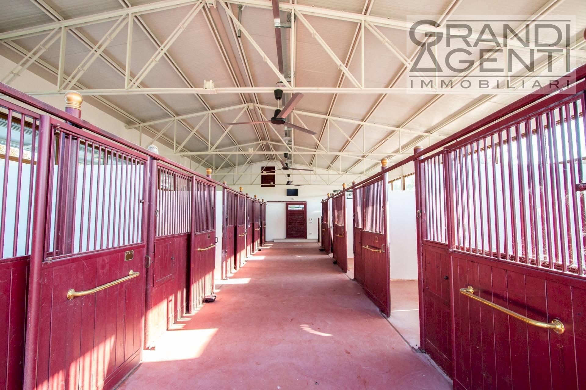 Foto 2 - Farm località oca, Lazise - photo 2