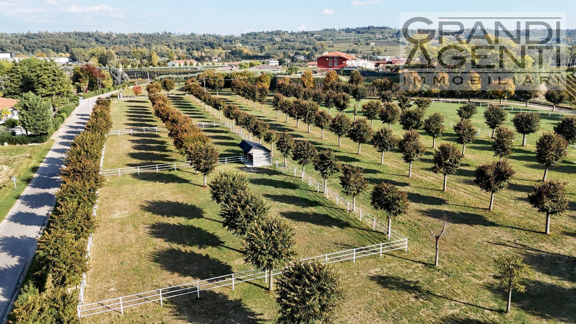 Foto 3 - Farm località oca, Lazise - photo 3