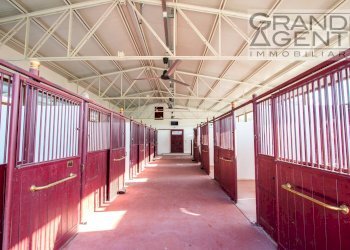 Foto 2 - Azienda agricola località oca, Lazise - foto 2