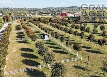 Foto 3 - Azienda agricola località oca, Lazise - foto 3