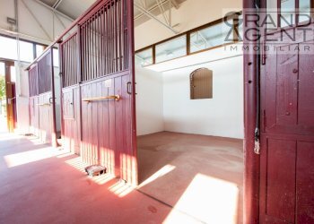 Foto 4 - Azienda agricola località oca, Lazise - foto 4