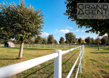 Foto 6 - Azienda agricola località oca, Lazise - foto 6