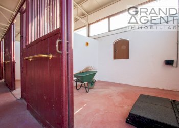 Foto 8 - Azienda agricola località oca, Lazise - foto 8