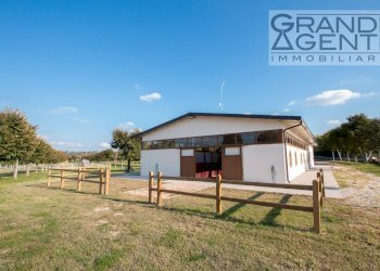 Foto 10 - Azienda agricola località oca, Lazise - foto 10