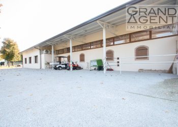 Foto 11 - Azienda agricola località oca, Lazise - foto 11