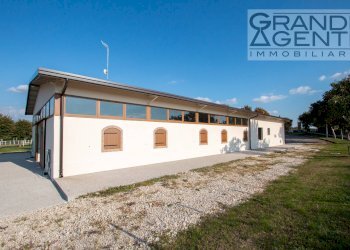 Foto 12 - Azienda agricola località oca, Lazise - foto 12