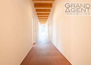 Foto 18 - Azienda agricola località oca, Lazise - foto 18