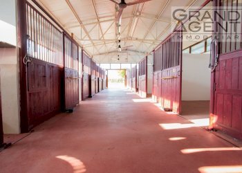 Foto 31 - Azienda agricola località oca, Lazise - foto 31