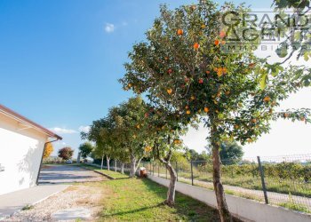 Foto 33 - Azienda agricola località oca, Lazise - foto 33