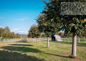 Foto 35 - Azienda agricola località oca, Lazise - foto 35