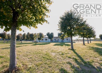 Foto 36 - Azienda agricola località oca, Lazise - foto 36